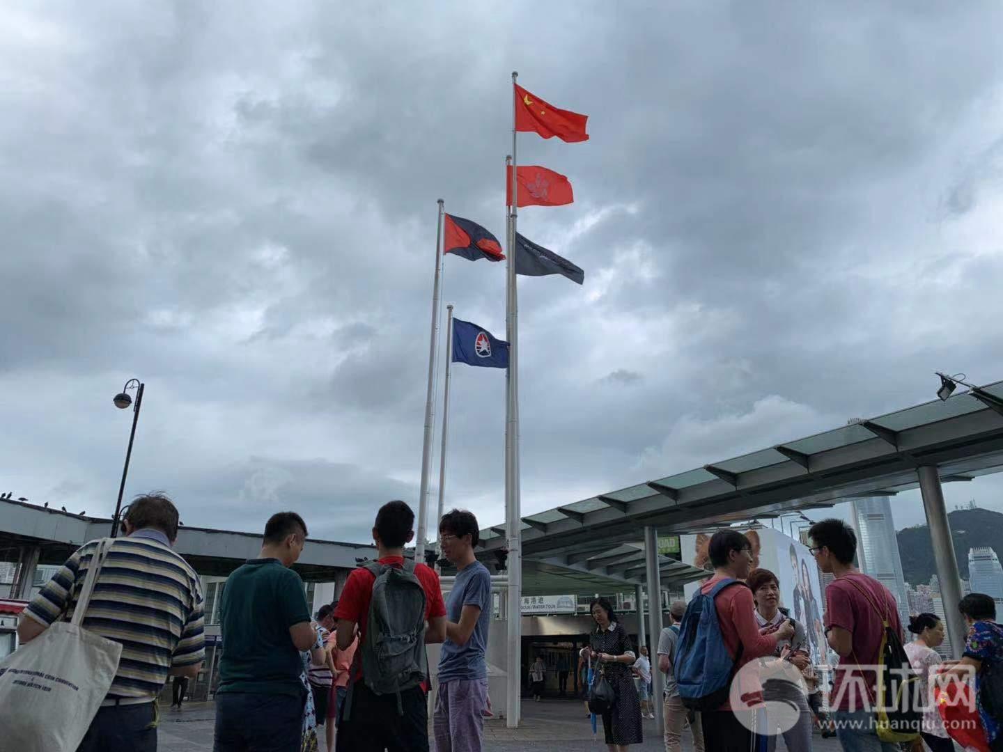 网友与流浪猫、狗的暖心故事！当网友遇上不请自来的小家伙们